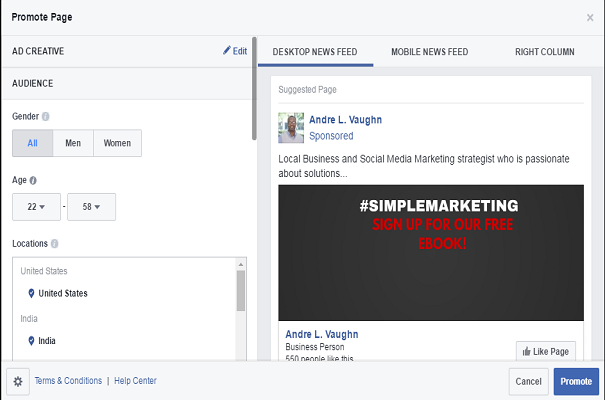 Facebook Ads Manager Promote Page